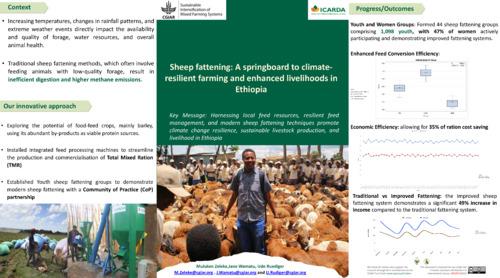Youth group sheep fattening: a springboard to climate-resilient farming and enhanced livelihoods in Ethiopia