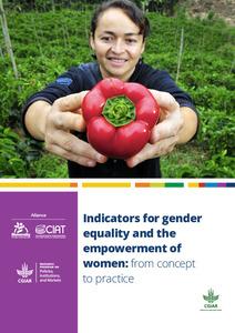 Indicators for gender equality and the empowerment of women: from concept to practice