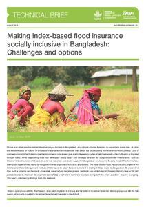 Making index-based flood insurance socially inclusive in Bangladesh: challenges and options