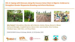 FR1.3: Coping with Stressors along the Cassava Value Chain in Nigeria: Evidence to Strengthen Gender-Responsive Breeding and Inform Resilience