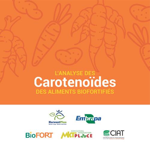 Análisis de carotenoides de alimentos biofortificados / Carotenoid analysis of biofortified foods / L´analyse des carotenoïdes des aliments biofortifiés