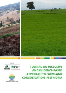 Toward an inclusive and evidence-based approach to farmland consolidation in Ethiopia