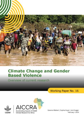 Climate Change and Gender Based Violence: Overview of Current Research