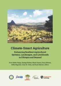 Building gender-sensitive climate-smart agriculture approaches for sustainable food-energy systems