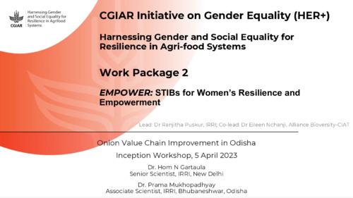 EMPOWER: STIBs for Women’s Resilience and Empowerment