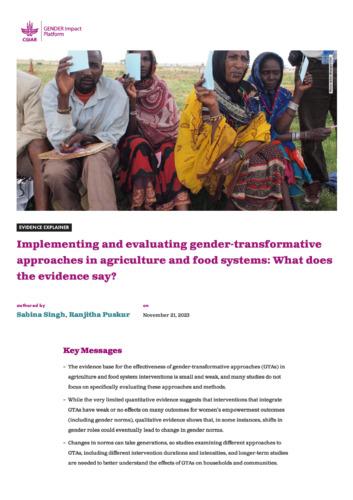 Implementing and evaluating gender-transformative approaches in agriculture and food systems: What does the evidence say?