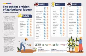The gender division of agricultural labour