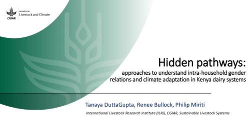 Hidden pathways: approaches to understand intra-household gender relations and climate adaptation in Kenya dairy systems