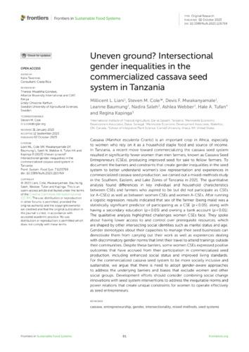 Uneven ground? Intersectional gender inequalities in the commercialized cassava seed system in Tanzania