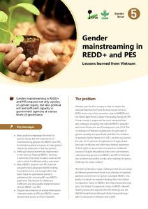 Gender mainstreaming in REDD+ and PES: Lessons learned from Vietnam