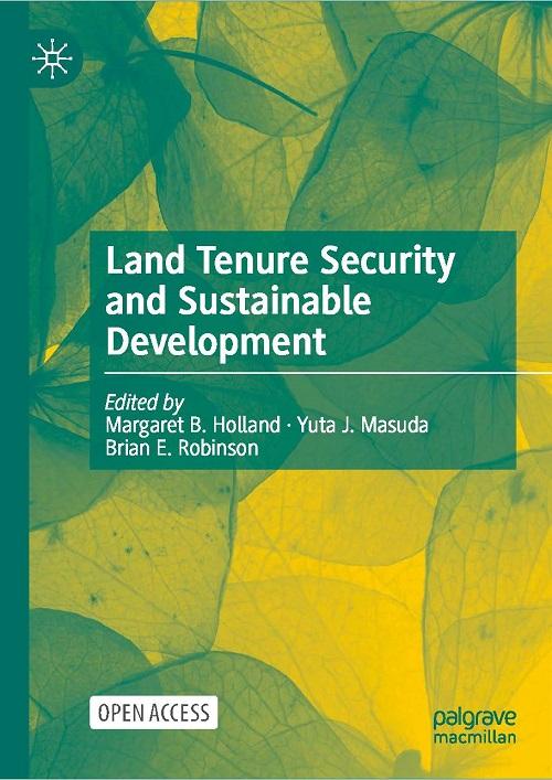Interaction of Conditional Incentives for Ecosystem Conservation with Tenure Security: Multiple Roles for Tenure Interventions