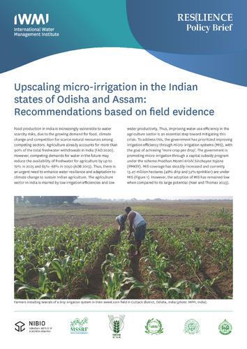 Upscaling micro-irrigation in the Indian states of Odisha and Assam: recommendations based on field evidence