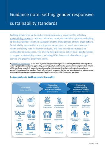 Guidance note: Setting gender responsive sustainability standards