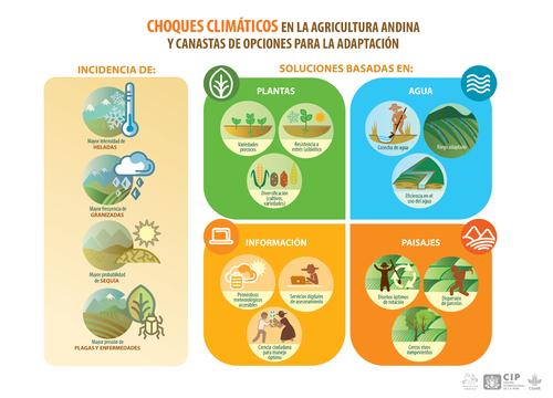 Choques climáticos en la agricultura andina y canastas de opciones para la adaptación