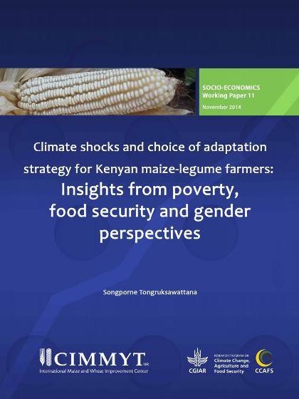 Climate shocks and choice of adaptation strategy for Kenyan maize-legume farmers: Insights from poverty, food security and gender perspectives
