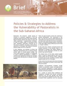 Policies & strategies to address the vulnerability of pastoralists in the sub-Saharan Africa