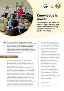 Knowledge is power: Enhancing data for action on women's rights, equality, and environmental sustainability via the Environment and Gender Index (EGI)