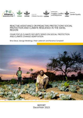 Reactive assistance or proactive protection? Social protection and climate resilience in the Sahel region