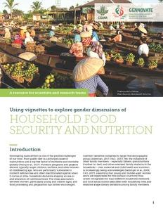 Using vignettes to explore gender dimensions of household food security and nutrition