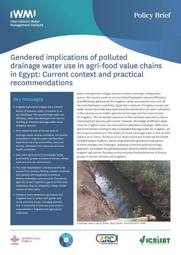 Gendered implications of polluted drainage water use in agri-food value chains in Egypt: current context and practical recommendations