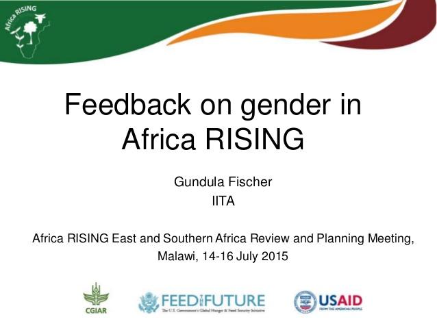 Feedback on gender in Africa RISING