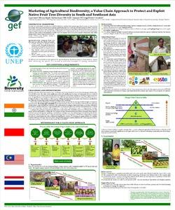 Marketing of agricultural biodiversity: a value chain approach to protect and exploit native fruit tree diversity in South and Southeast Asia