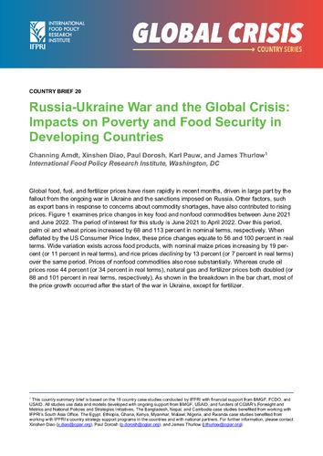 Russia-Ukraine war and the global crisis: Impacts on poverty and food security in developing countries