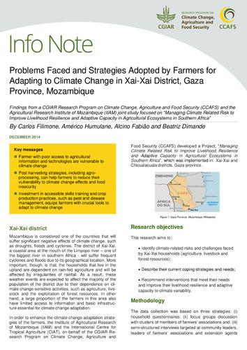 Problems Faced and Strategies Adopted by Farmers for Adapting to Climate Change in Xai-Xai District, Gaza Province, Mozambique