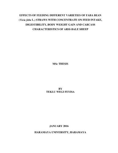 Effects of feeding different varieties of faba bean (Vicia faba L.) straws with concentrate on feed intake, digestibility, body weight gain and carcass characteristics of Arsi-Bale sheep