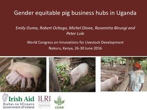 Gender equitable pig business hubs in Uganda
