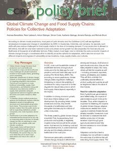 Global climate change and food supply chains: policies for collective adaptation