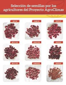 Selección de semillas por los agricultores del Proyecto AgroClimas