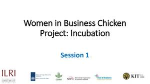 Women in Business Chicken Project: Mentoring support for a gender responsive incubation process