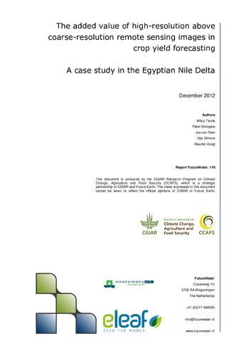 The added value of high-resolution above coarse-resolution remote sensing images in crop yield forecasting: A case study in the Egyptian Nile Delta