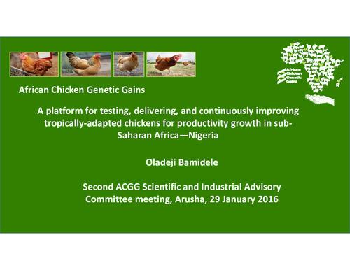 A platform for testing, delivering, and continuously improving tropically-adapted chickens for productivity growth in sub-Saharan Africa—Nigeria