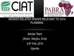 Gender related issues relevant to 2014 planning