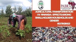 Agricultural transformation in Rwanda: Effect among smallholder households and gender