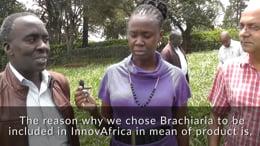 Kenya: The Pioneers of Brachiaria Grass