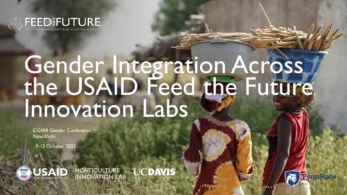 Gender integration across the USAID feed the future innovation labs