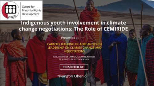Indigenous youth involvement in climate change negotiations: the role of CEMIRIDE