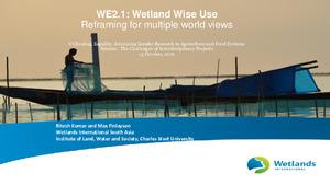 WE2.1: Wetland Wise Use - Reframing for multiple world views