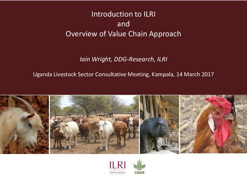 Introduction to ILRI and overview of value chain approach