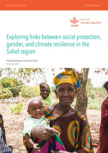 Exploring links between social protection, gender, and climate resilience in the Sahel region