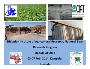 Ethiopian Institute of Agricultural Research, National Bean: Research Program Update of 2013