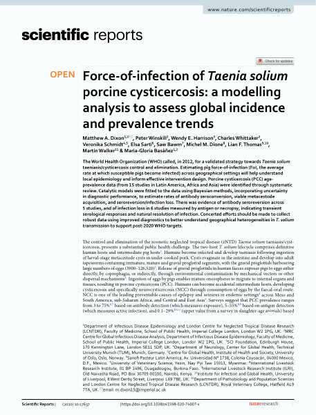 Force-of-infection of Taenia solium porcine cysticercosis: a modelling analysis to assess global incidence and prevalence trends