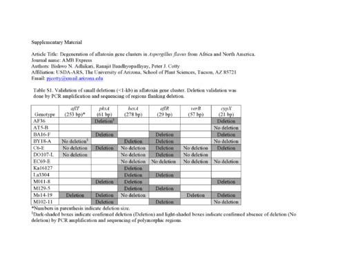 Degeneration of aflatoxin gene clusters in Aspergillus flavus from Africa and North America