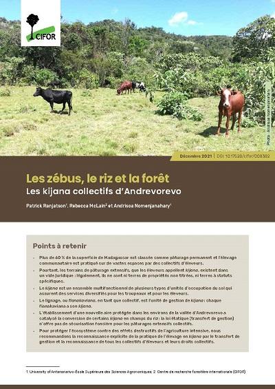 Les zébus, le riz et la forêt: Les kijana collectifs d’Andrevorevo