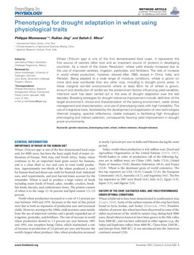 Phenotyping for drought adaptation in wheat using physiological traits