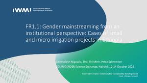 FR1.1: Gender mainstreaming from an institutional perspective: Cases of small and micro irrigation projects in Ethiopia