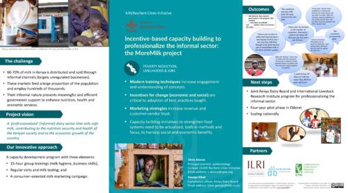 Incentive-based capacity building to professionalize the informal sector: the MoreMilk project